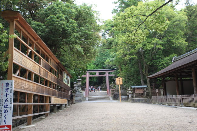 まだ？<br /><br />なかなか見えてこないが<br />まだずいぶんありそうですね