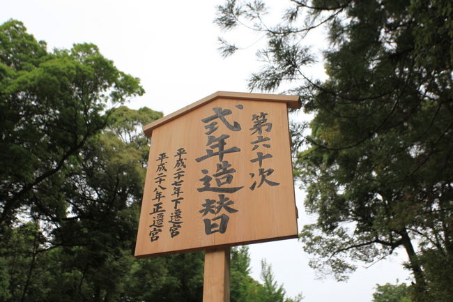 もう少し<br /><br />大きなイベントがありそうですね<br />レイナは２年後、サチは３年後だが<br />どちらも無理ですね