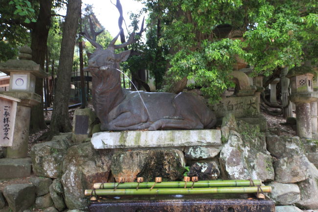 手洗い<br /><br />大きな鹿は分かるが<br />巻物にも意味があるのかな？