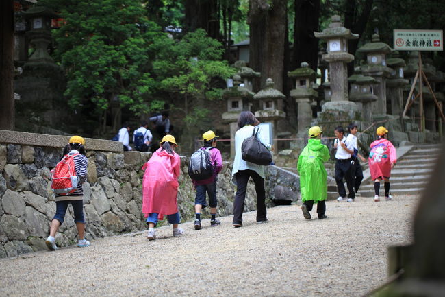 目が合った<br /><br />なにげに参道を見たら<br />ルカと目が合ってしまった<br />ほかの生徒とかもマズイが<br />滅茶苦茶焦りましたが<br />すかさず背後から撮影したが<br /><br />寒気対策のカッパでしょうか<br />先生も寄り添ってくれて<br />それほど辛そうでもないので<br />このまま頑張れそうですね<br /><br />ちょっと安心しました