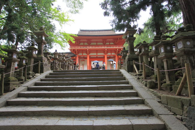 階段<br /><br />いつも悩むが<br />どこまで撮影して良いのやら？？？<br />伊勢神宮なら<br />階段の下で終了ですが<br />まだまだ大丈夫かな