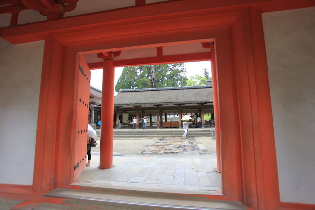 まだ撮影可能？<br /><br />注意書きが無いか<br />気になりますが<br />まだまだ大丈夫みたいですね