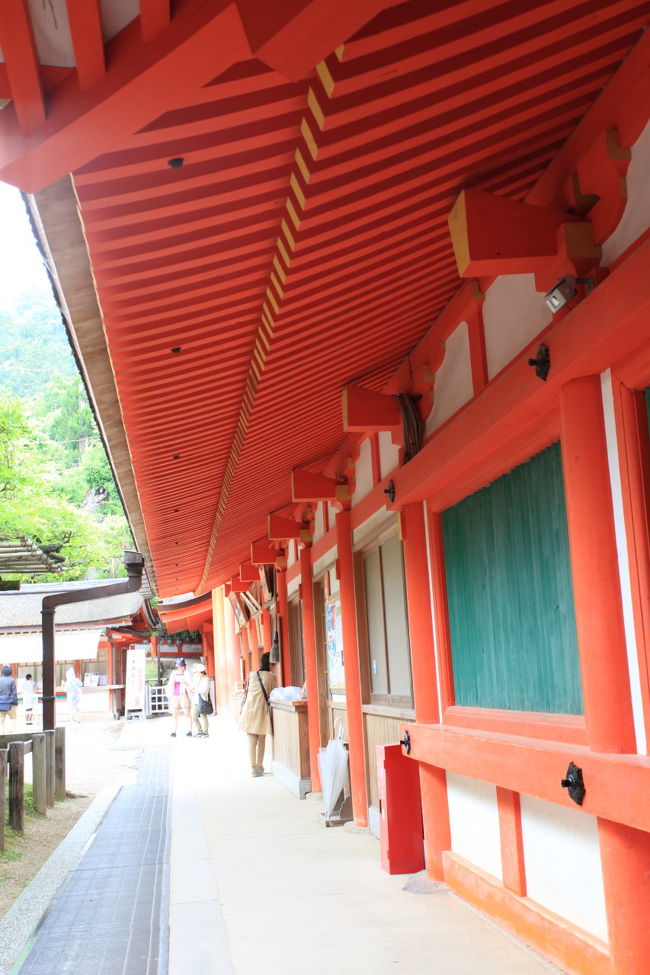 軒<br /><br />小雨が降っているので<br />ありがたいですね