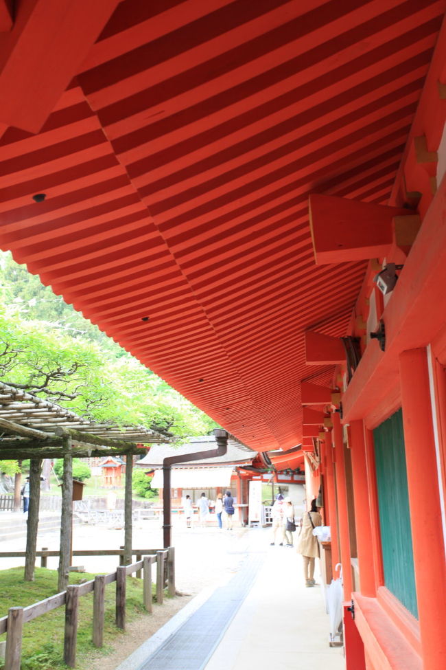 角度を変えて<br /><br />レンズも変えて<br />ちょっと圧縮効果も狙ったが<br />左の空間がイマイチな感じ