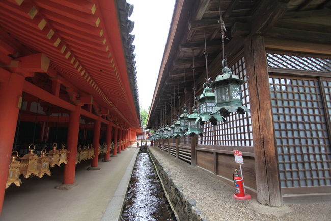 灯篭<br /><br />何かに使うのかな？<br />たくさん吊るされています