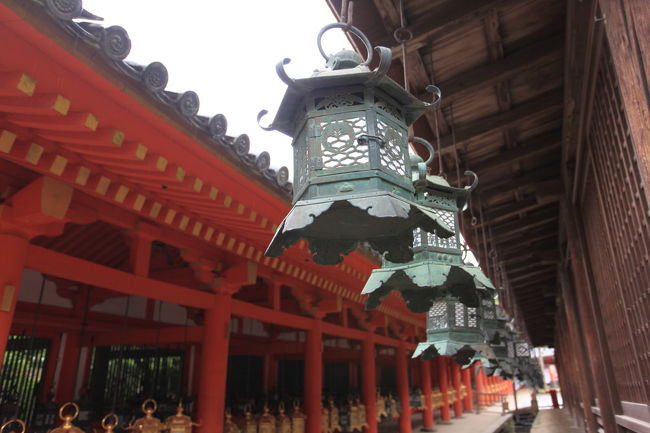 別の角度から<br /><br />これは<br />良い感じですね