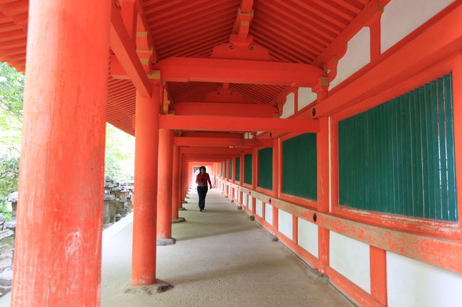 動画<br /><br />向こう側から<br />歩いて来たら<br />良い動画になりそうですが<br />今回はお忍び<br />我慢我慢