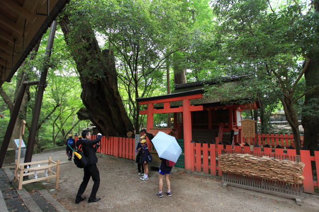 記念写真<br /><br />引率の先生が<br />あちこちで撮影しているシーンに<br />何度も遭遇しているが<br />たまに大丈夫かなと不安な人もいるので<br />普段から練習していて下さいね