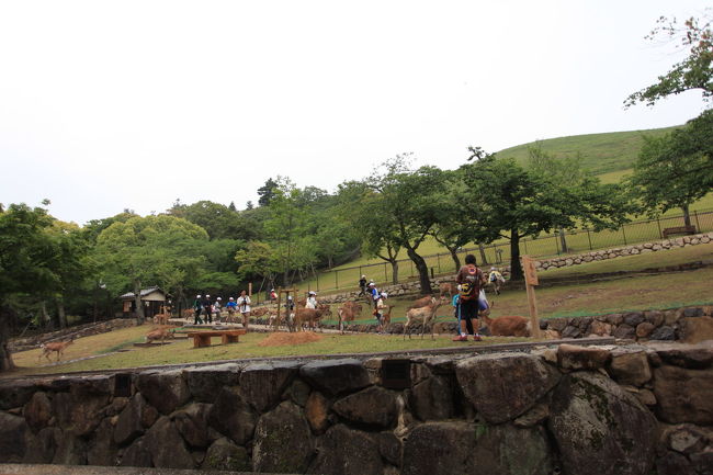 明朝<br /><br />明日の朝ルカたちは<br />早朝のお散歩が行われるが<br />明日はきっと晴れるでしょうね<br />宿もこの辺のはずですが<br />鹿を見ていて確認を忘れてしまいました