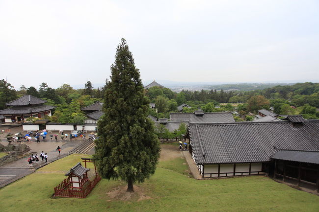 眺め<br /><br />遠くに東大寺が見えますが<br />次はあそこですね<br />相変わらず<br />回りには子供が沢山居ますが<br />黄色い帽子に緑のラインは居ませんが<br />どこかに集合しているのかな？<br />時間的に<br />東大寺が怪しいかな？？？