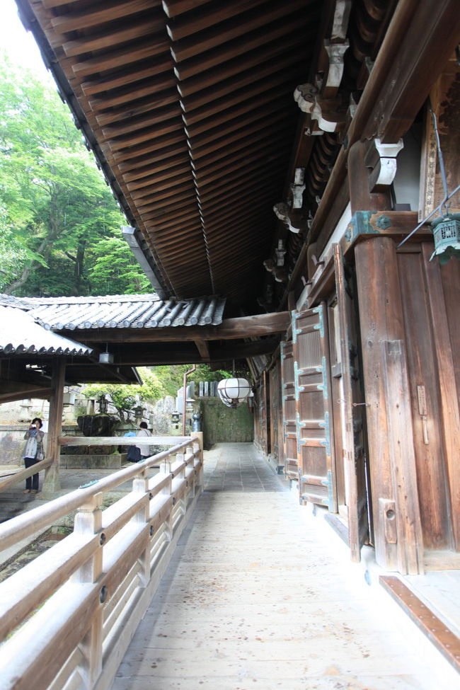 軒<br /><br />傘が無くても我慢できるが<br />カメラがあるので<br />買ってしまおうか悩むが<br />まだタオルで大丈夫かな？？？