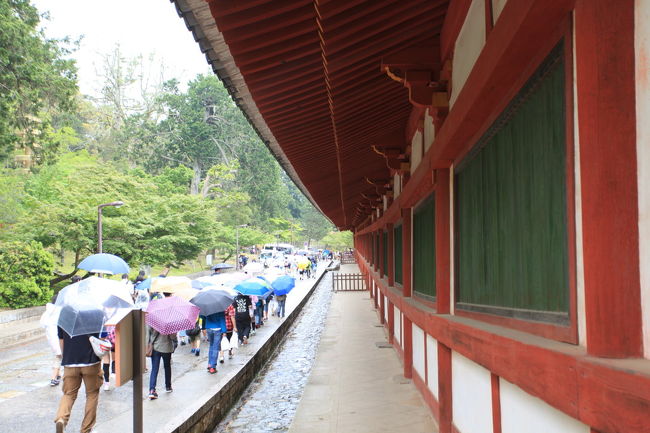 傘<br /><br />さらに強くなってきましたね<br />ほとんどの人が傘を差していますね<br />これだけ人が多いと<br />誰が雨男か雨女かは分かりませんが<br />ちょっと前の天気予報までは<br />晴れだったので余計に残念ですね