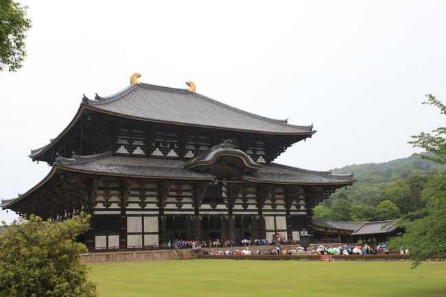 でかい<br /><br />木造で<br />よく作ったと思いますね<br />強度的には鉄に劣らないとはいえ<br />圧巻ですね