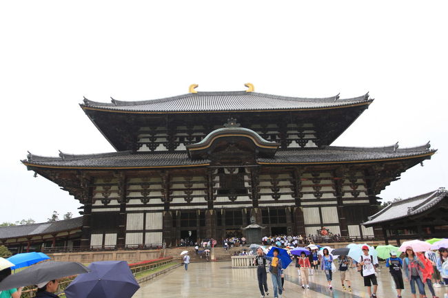 今では<br /><br />木造でこれよりも巨大なものが<br />今では有るみたいですが<br />本当にでかいですね<br />人が小さく見えてしまいます