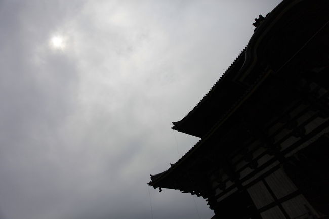 太陽<br /><br />薄日が差してきたが<br />そろそろ上がるのかな？<br />上がるなら<br />早く上がって欲しいですね<br />そして<br />虹でも見えないかな？