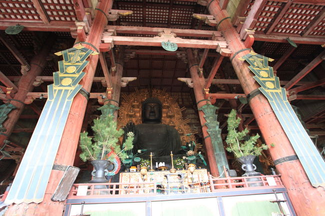 大仏さま<br /><br />とりあえず<br />全体を写すにも<br />１７ｍｍでも辛いくらいですね<br />天井も入れたいがこれ以上下がれない