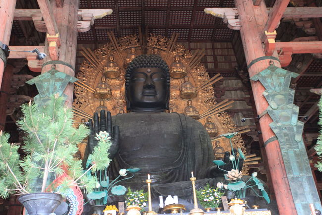 横<br /><br />何もかもデカいから<br />錯覚に陥ってしまい<br />大きさの感覚が麻痺しますね