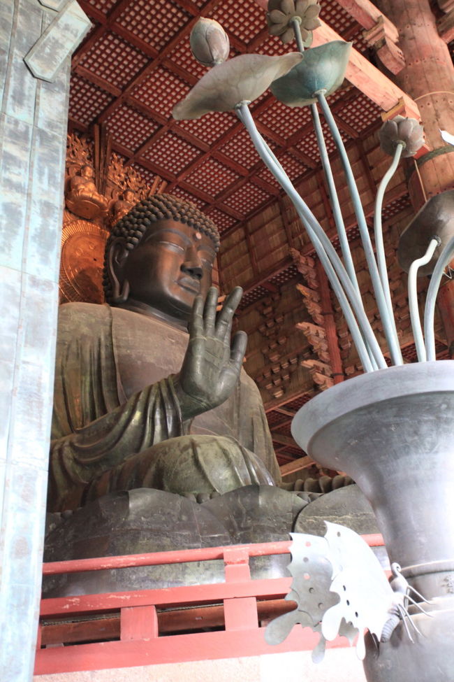 斜め<br /><br />ここら辺なら<br />コンデジでも写りそうですが<br />写真には写っていたい下の部分には<br />人が入れ替わりながら<br />記念撮影していたが<br />綺麗に写せたのかな？？？