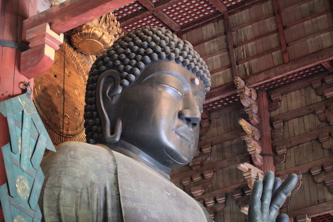 サーチ<br /><br />ここなら<br />見つかっても良いからと<br />黄色い帽子を探したが<br />全然居ませんね