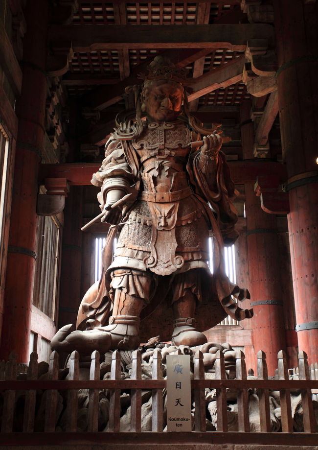 光<br /><br />横から入る光で<br />時間帯により<br />変化が気になりますが<br />よーく見ると<br />何か踏んづけていますね