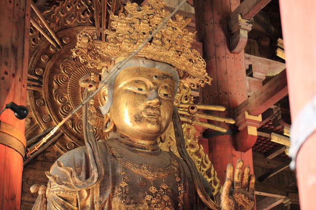 ウロウロ<br /><br />東大寺の後は<br />特に予定はないので<br />しばらくここに居ましょう