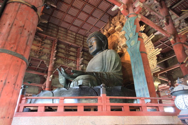 右から<br /><br />かなりゆっくり見たが<br />残念ながら黄色い帽子には<br />会えませんでした<br />時間的にどこかで集合しているのかな？