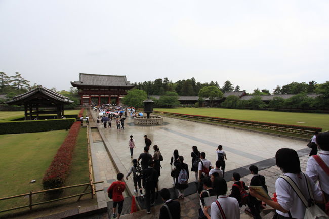 雨<br /><br />もう少しで上がりそうですが<br />傘は必要な感じもしますね