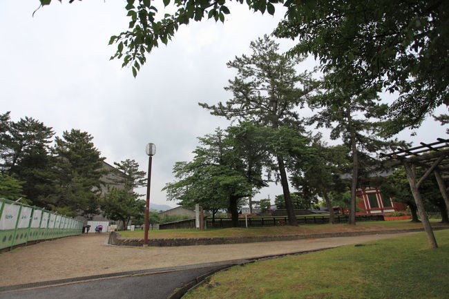 興福寺<br /><br />さすがに見ているだけでは<br />つまらなくなったので<br />興福寺へ戻ります