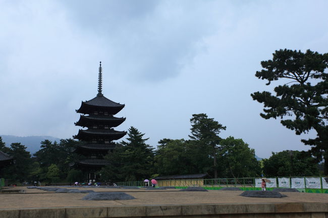 五重塔<br /><br />自分的には<br />手前の石の基礎が気になります<br />ここにも結構大きな建物が<br />建っていたと思いますが<br />有ったら<br />五重塔が見えないから<br />無いほうがありがたいですね