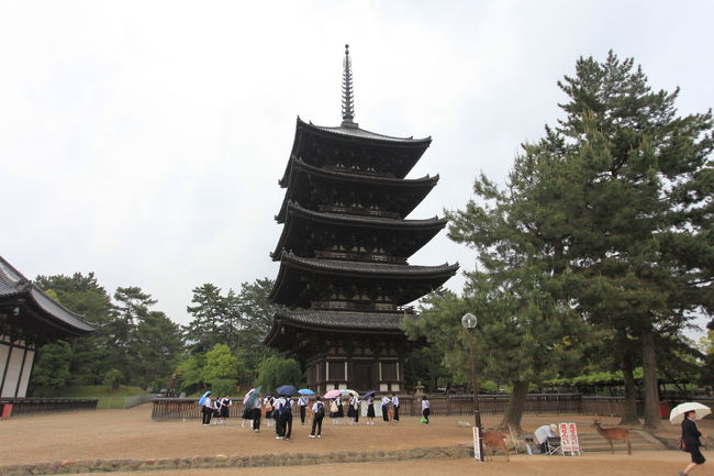 スカイツリー<br /><br />スカイツリーも<br />この五重塔の工法を利用していると<br />小耳に聞いたが<br />屋根に対して<br />建物が小さいのは<br />やはり雨対策でしょうね<br />今の家は外壁が強くなったから<br />屋根がちっぽけで良いのでしょうね