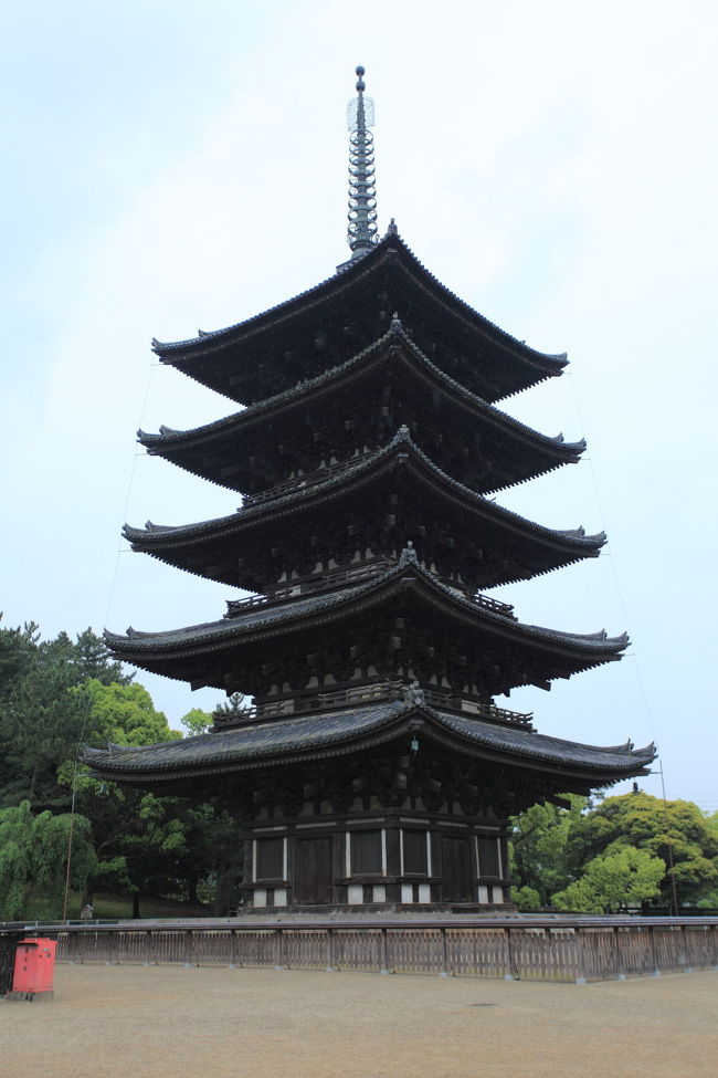 別の角度で<br /><br />たまたまこの時間ですが<br />朝と昼間は逆光ですね<br />夕方が綺麗に撮れそうですね