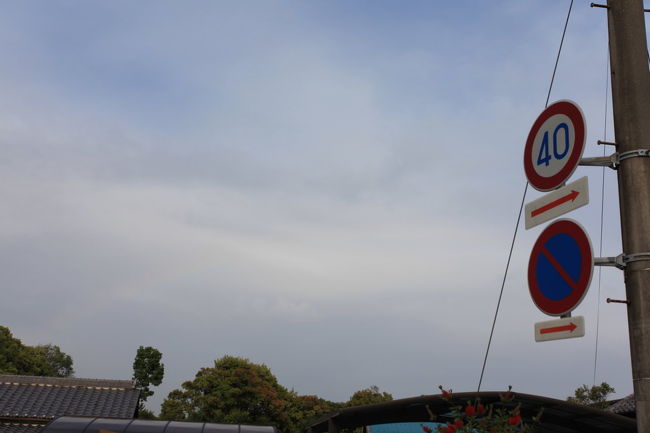 虹<br /><br />雨は完全に上がり<br />気が付けば虹が出ていました