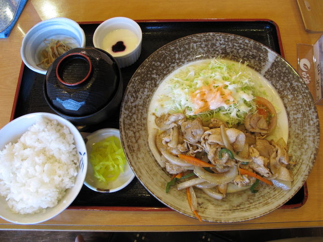 生姜焼き定食<br /><br />提供時間も結構早く<br />値段も控えめ<br />味は合格ライン<br /><br />よく歩いたので<br />ちょっと物足らないかも・・