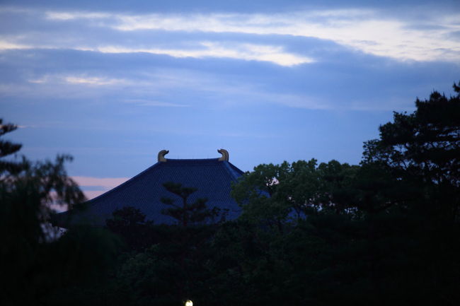 拡大<br /><br />朝とか夕方にも駐車できると<br />もっと凝った写真が撮れそうですが<br />探せば穴場が有るのかな？？？<br />駅付近には時間単位の駐車場は有ったが<br />あそこから暗い時間には歩きたくは無いですね