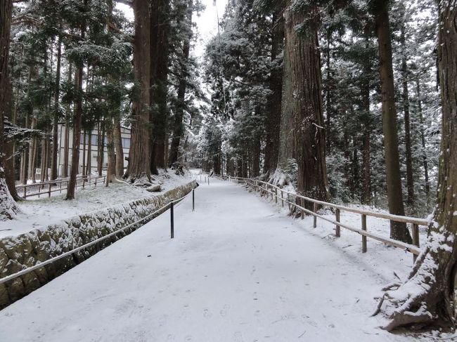 雪が降っていたため足場が悪いです。金色堂までは軽い上り坂がずっと続くので、ソールがツルツル系の靴では危ないです。