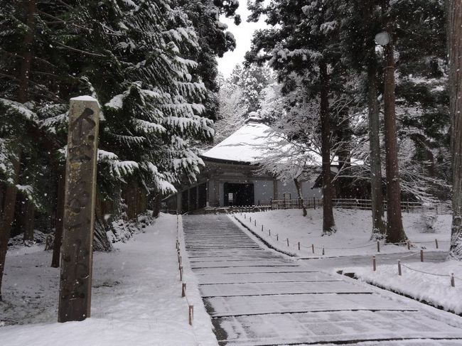 金色堂の写真としては有名なアングルですね。