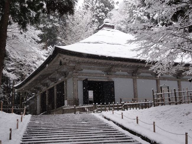 金色堂の内部では撮影禁止なので、遠くから撮影しましたが写っていませんね……。