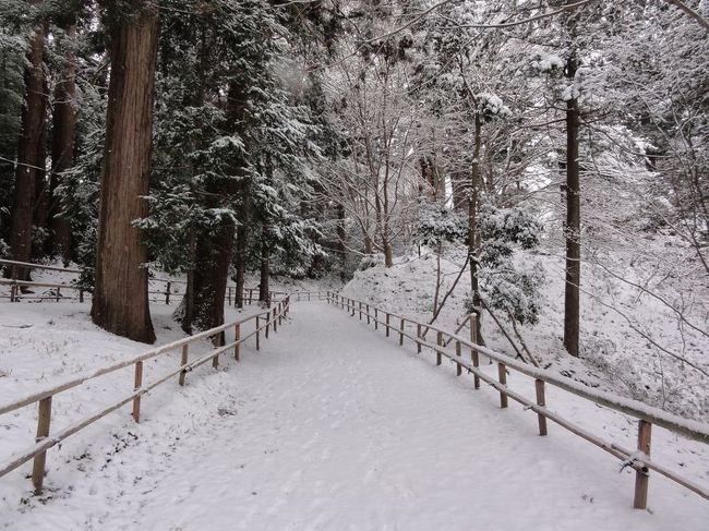 帰りも危険です。