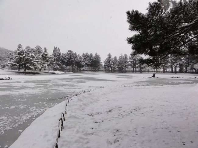 極楽浄土をこの世に表現したという庭園は降雪により、より一層幻想的でした。という負け惜しみを言ってみる。やはり、雪のない庭園が見たかったが、これはこれとしてよしとしよう。