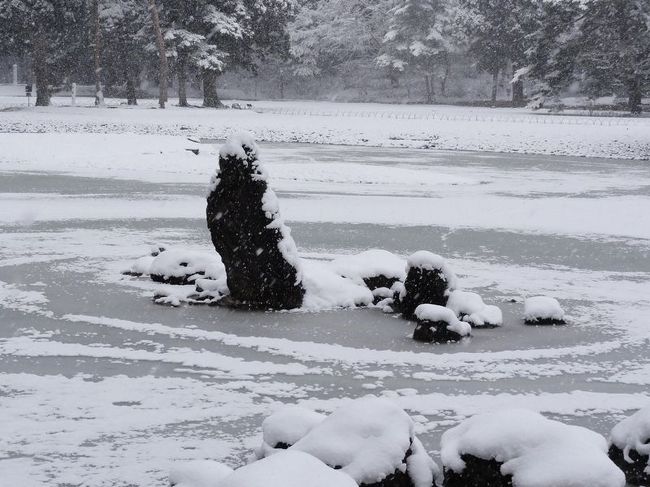出島の立石・伏石が優美です。日本人ならではのセンスですかね。