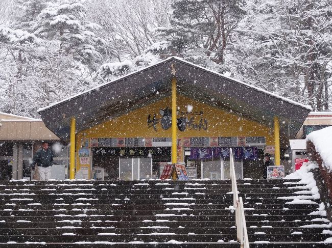 移動中にサービスエリアに立ち寄り。