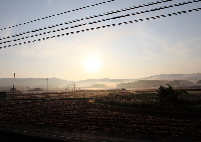 お散歩<br /><br />なんとなく<br />太陽が出たら<br />霧が出そうな気配なので<br />再び奈良公園へお散歩へ