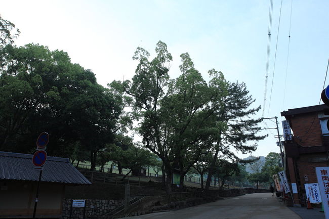 若草山<br /><br />ルカの予定表では<br />６：２０分くらいから<br />若草山のお散歩タイムですが<br />この辺には駐車場は有るのですが<br />勝手に止めるわけにもいかず<br />とりあえず<br />遠めに写真を撮影し<br />奈良公園側へ戻ります