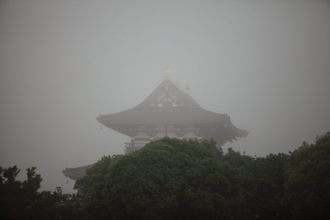 寄り道<br /><br />霧の平城京を狙ってみたが<br />イメージ通り写りませんね