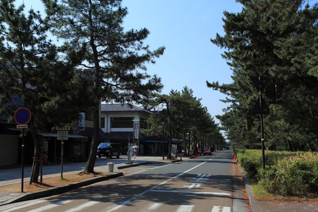 目立ちすぎ<br /><br />やはり<br />帰宅後ルカから<br />クレームを頂きました<br />