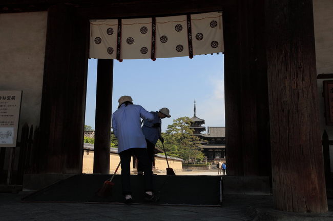 お掃除<br /><br />箒の音が綺麗だったので<br />動画でも撮影したが<br />会話が止まらない様子で<br />使えない映像になってしまいました