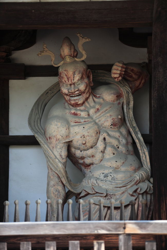 あ<br /><br />網とか無いが<br />鳥の被害は無いのかな？？？