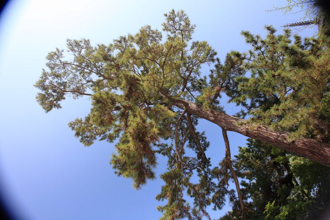 けられた<br /><br />天気が良いので<br />ＰＬフィルターを装着したら<br />二重に憑けたため<br />角がけられてしまいました<br />気づくまでに５枚ほど写してしまったが<br />朝から大歩危