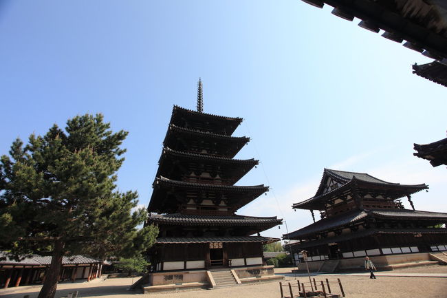 五重塔<br /><br />庭全体を写したくても<br />１７ｍｍでも足りません<br />８−１５が活躍できそうですね