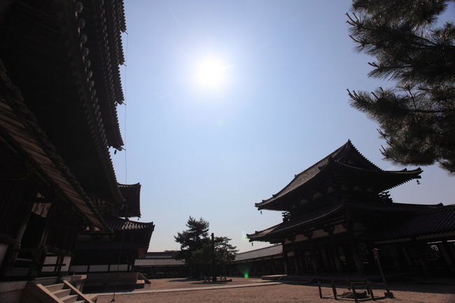 太陽<br /><br />２日前に金環日食を起こしたが<br />６月４日には部分月食します<br />愛知県だと欠け始めた状態で出てくるみたいですが<br />その週は夜勤なので<br />撮影はできませんが<br />６月６日の金星の太陽面通過は<br />早めに帰宅すれば<br />最初から観察できそうです<br />第１遭遇が７時１０分なので<br />早めに帰宅できるかな？